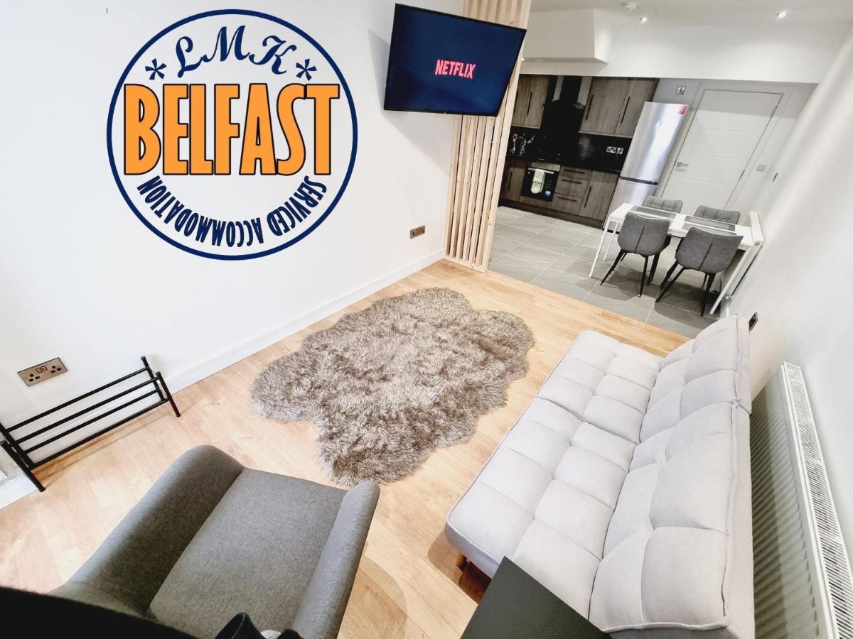 Lmk, Spacious 1 Bedroom Ground Floor Apartment, Ev Charger, Free Parking Wi-Fi, Great Location Belfast Bagian luar foto